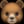 🐻