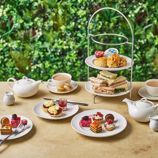 A table with plates of food and tea
Description automatically generated